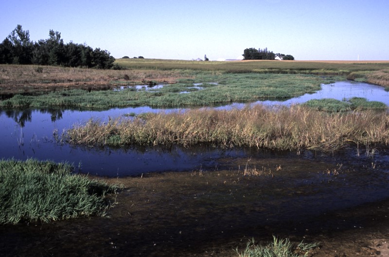 Wetland - credit Lynn Betts, NRCS