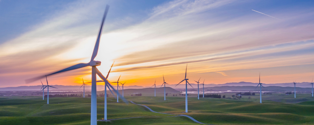 Wind farm - credit RawFilm