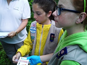 Fredericksburg Chapter Girl Scouts