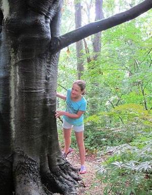 Girl and Tree