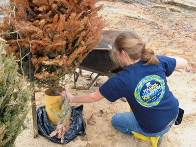Girl Planting Trees_Lynchburg Chapter